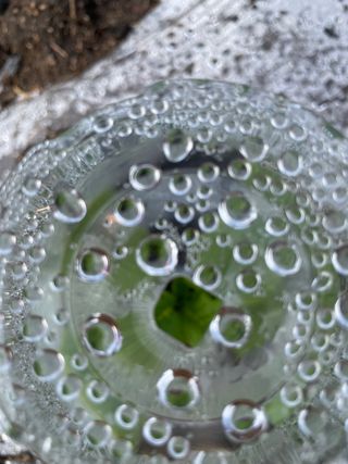 도곡님의 배추 · 제초 작성글 사진