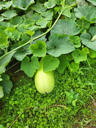동해리님의 자유주제 · 자유게시판 작성글 사진