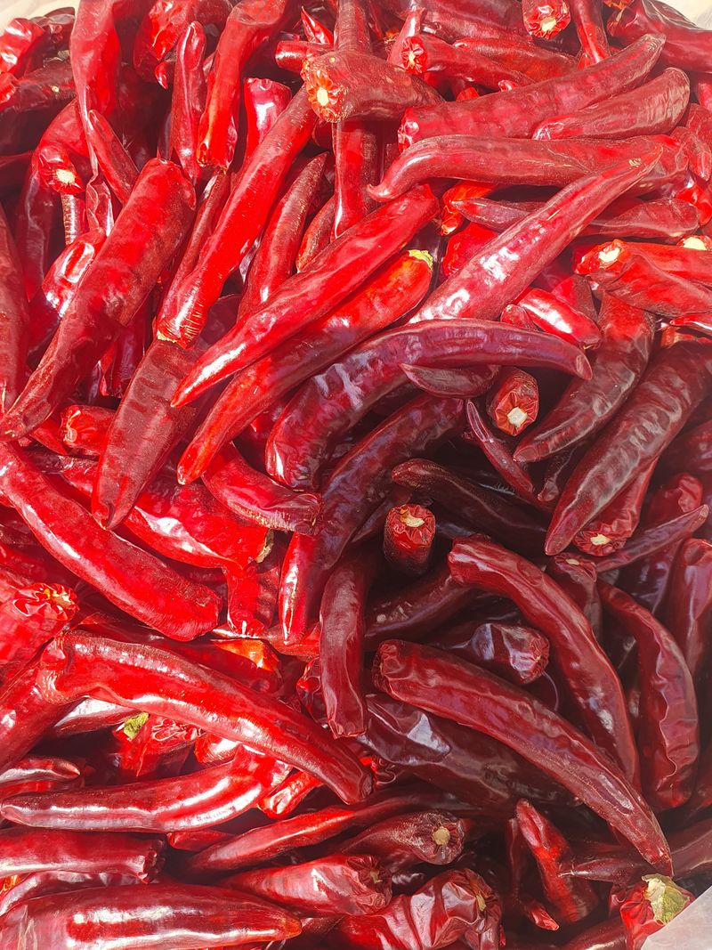 장터 상품 [햇고추] 썸네일