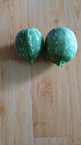 팜모닝 자유주제·자유게시판 게시글 이미지