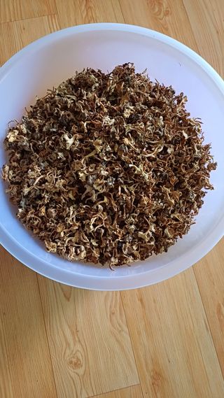 박순덕님의 자유주제 · 자유게시판 작성글 사진