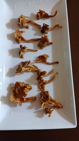 박순덕님의 자유주제 · 자유게시판 작성글 사진