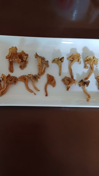 박순덕님의 자유주제 · 자유게시판 작성글 사진