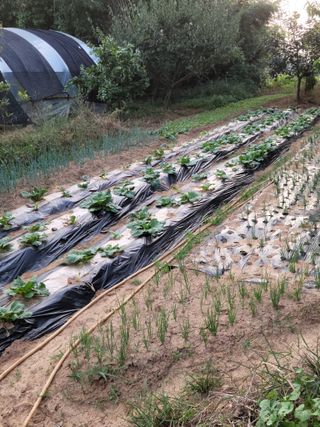 박덕남님의 자유주제 · 자유게시판 작성글 사진