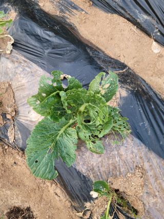 박덕남님의 자유주제 · 자유게시판 작성글 사진