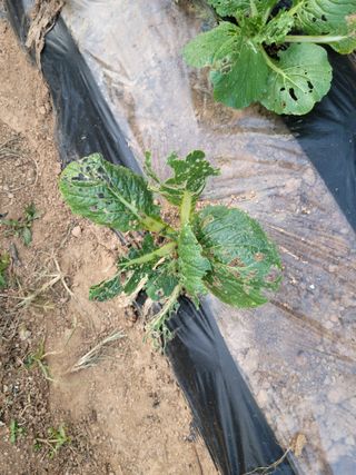 박덕남님의 자유주제 · 자유게시판 작성글 사진