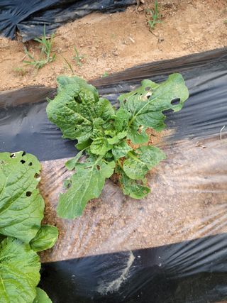 박덕남님의 자유주제 · 자유게시판 작성글 사진