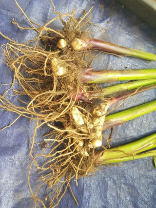 배영이님의 작성글 사진