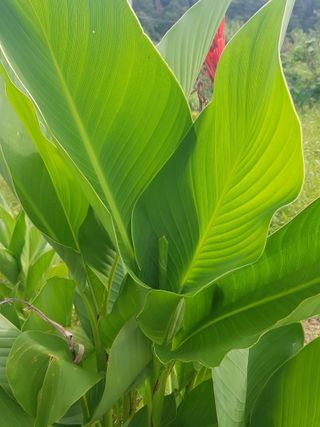 배영이님의 작성글 사진