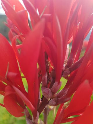 배영이님의 작성글 사진