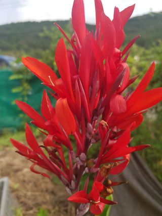 배영이님의 작성글 사진