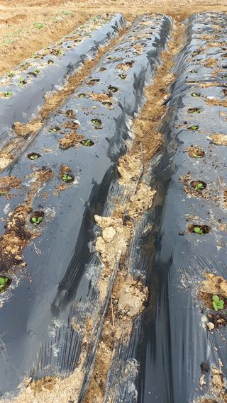 송월명님의 자유주제 · 자유게시판 작성글 사진