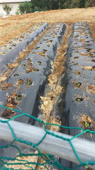 송월명님의 자유주제 · 자유게시판 작성글 사진