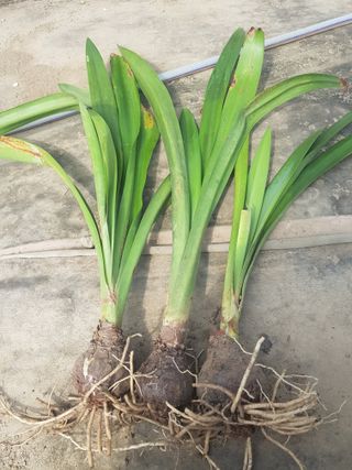 배영이님의 작성글 사진