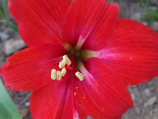 배영이님의 작성글 사진