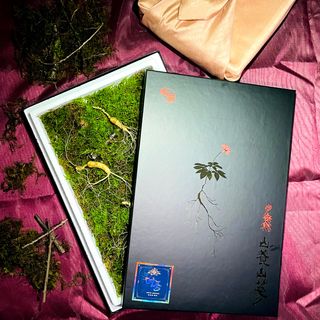 진상빈님의 작성글 사진