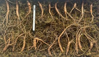 진상빈님의 작성글 사진