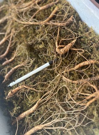 진상빈님의 작성글 사진