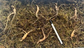 진상빈님의 작성글 사진