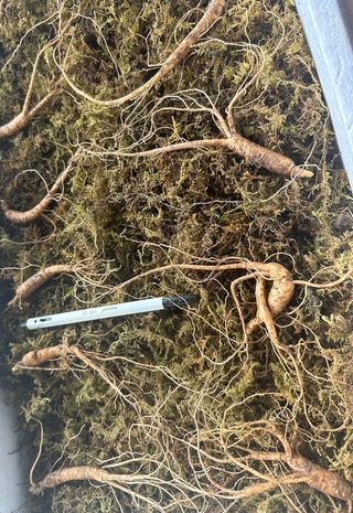 진상빈님의 작성글 사진