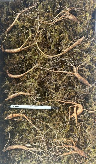 진상빈님의 작성글 사진