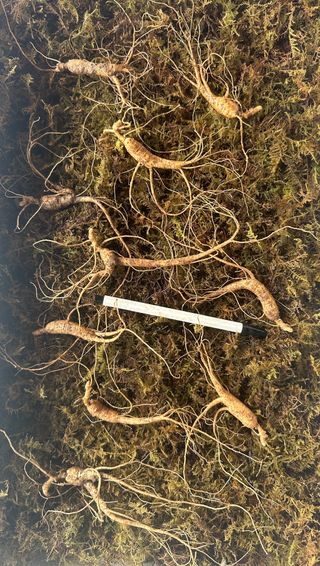 진상빈님의 작성글 사진