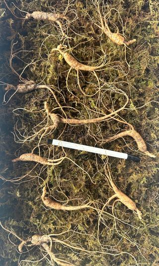 진상빈님의 작성글 사진