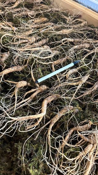 진상빈님의 작성글 사진