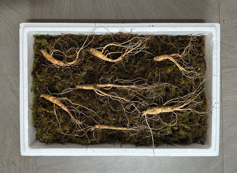 진상빈님의 장터 판매 상품 [설 명절 선물세트💓] 첨부 사진