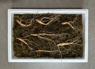 진상빈님의 작성글 사진