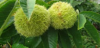 이종록님의 자유주제 · 사진전 작성글 사진