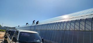 나으살던고향님의 오이 · 자유게시판 작성글 사진