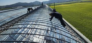 나으살던고향님의 오이 · 자유게시판 작성글 사진