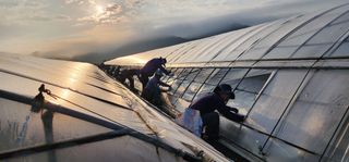 나으살던고향님의 오이 · 자유게시판 작성글 사진