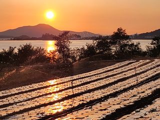 팜블리분매리농윈님의 가을 농사계획 알려주세요🍁 · 참여글 작성글 사진