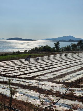 팜블리분매리농윈님의 가을 농사계획 알려주세요🍁 · 참여글 작성글 사진