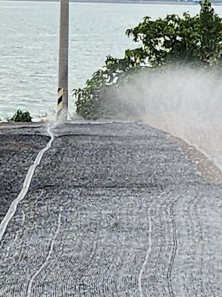 팜블리분매리농윈님의 가을 농사계획 알려주세요🍁 · 참여글 작성글 사진