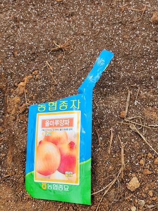 팜블리분매리농윈님의 가을 농사계획 알려주세요🍁 · 참여글 작성글 사진