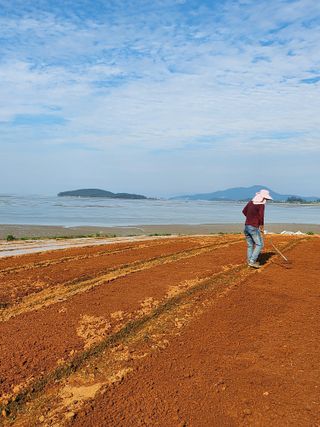 팜블리분매리농윈님의 가을 농사계획 알려주세요🍁 · 참여글 작성글 사진
