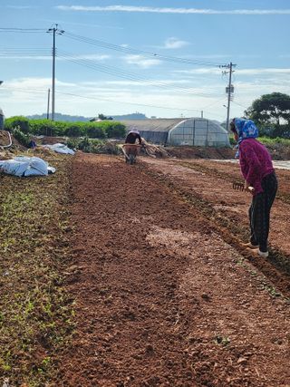 팜블리분매리농윈님의 가을 농사계획 알려주세요🍁 · 참여글 작성글 사진