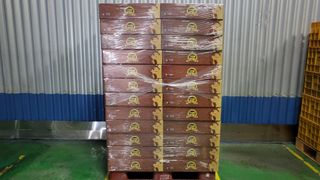 형설농원 정순정님의 오늘의 시장을 알려주세요 · 참여글 작성글 사진