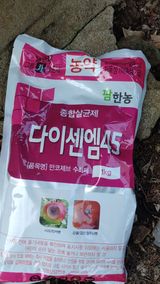 팜모닝 귤·영농일지 게시글 이미지