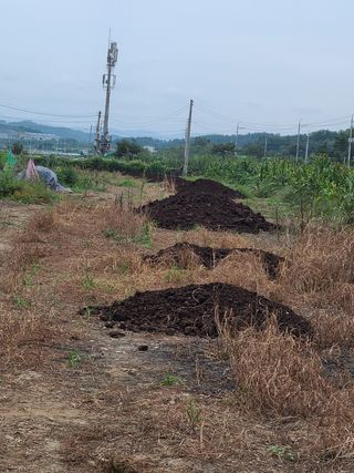 김봉학님의 마늘 · 영농일지 작성글 사진