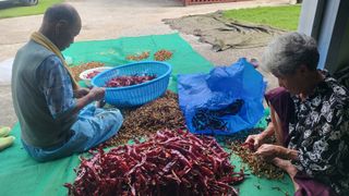 윤백호님의 가을 농사계획 알려주세요🍁 · 참여글 작성글 사진