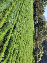 팜모닝 가을 농사계획 알려주세요🍁·참여글 게시글 이미지