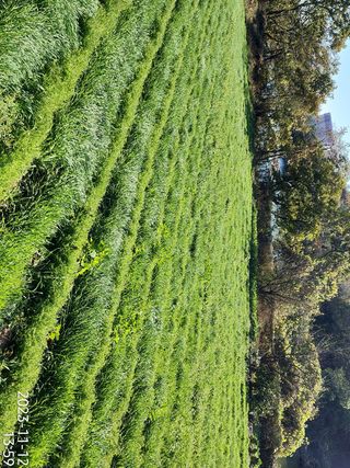 정병무님의 가을 농사계획 알려주세요🍁 · 참여글 작성글 사진