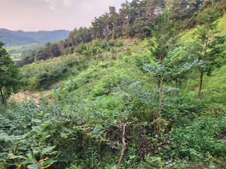 이근배님의 가을 농사계획 알려주세요🍁 · 참여글 작성글 사진