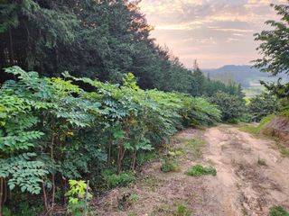 이근배님의 가을 농사계획 알려주세요🍁 · 참여글 작성글 사진