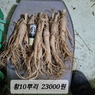 모두팜님의 작성글 사진