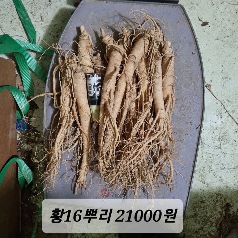 모두팜님의 장터 판매 상품 [6년근 인삼선물셋트  판매합니다🎁] 첨부 사진